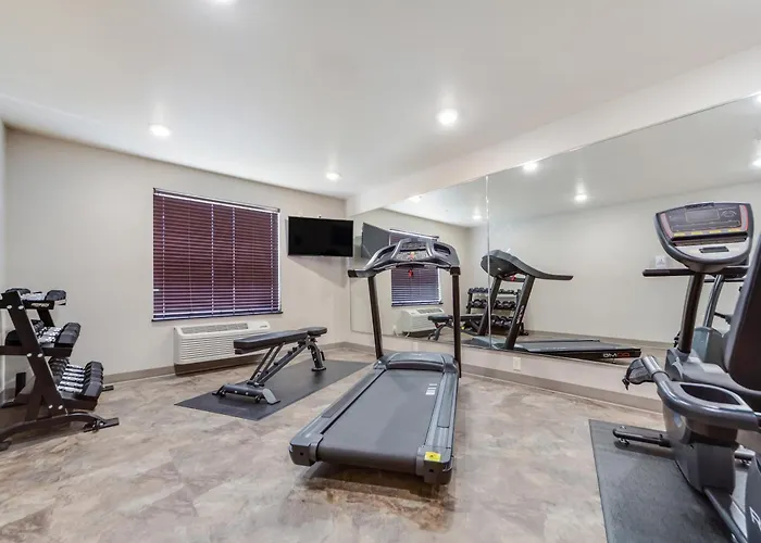 Cobblestone Inn & Suites-Fremont